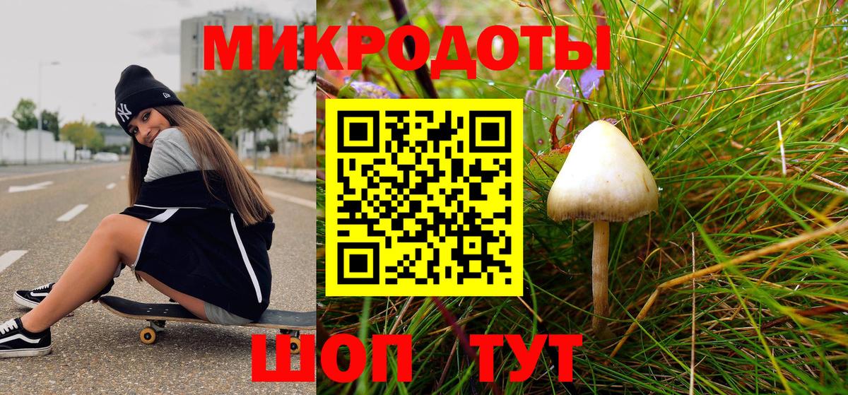 Галлюциногенные грибы ЛСД  Вход с VPN  Галлюциногенные грибы Psilocybe  Прохладный 